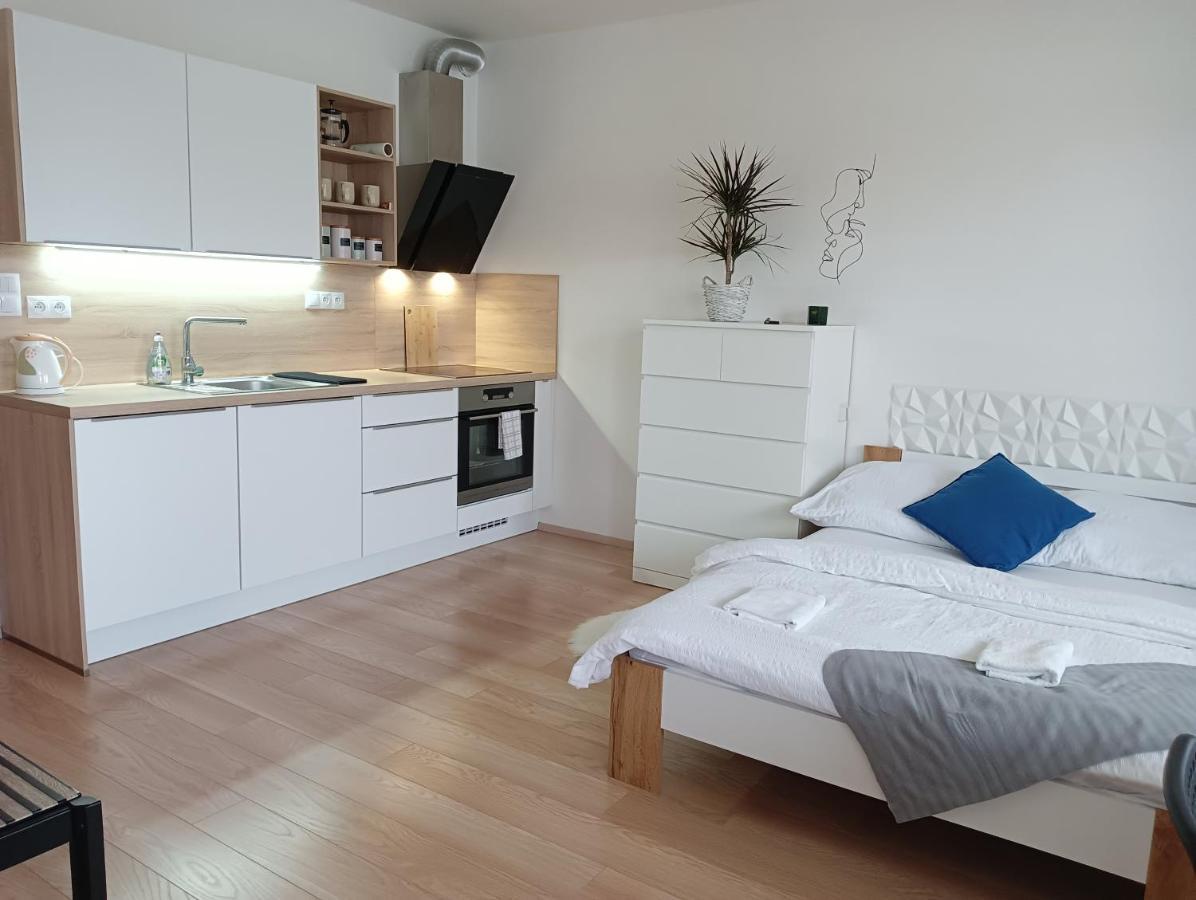 Apartman Bystrc برنو المظهر الخارجي الصورة