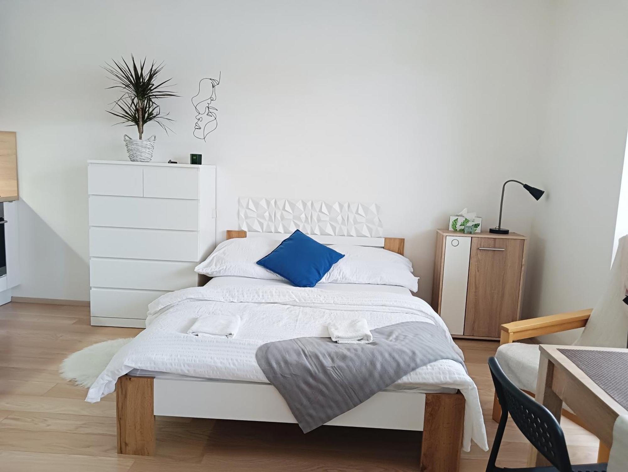 Apartman Bystrc برنو المظهر الخارجي الصورة